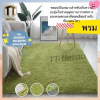 ราคา TTO พื้นพรมกันลื่น พรม พรมตกแต่งบ้าน พรมปูพื้นห้อง พรมปูพื้นห้องรับแขก ห้องนั่งเล่น ห้องนอน พรมตกแต่งห้อง มี 10 สี (14704670817)