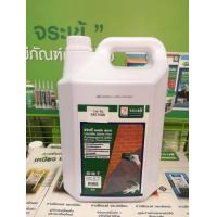 ราคา จระเข้ แอดมิค พลาส 5 ลิตร น้ำยาผสมปูนฉาบ ปูนก่อ เพิ่มการยึดเกาะ (7176792134)