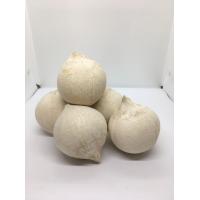 ราคา มะพร้าวต้มเนื้อหนา ลูกเล็ก ปอกเปลือก 5ลูก ประมาณ250กรัมต่อลูก เฉาะทานได้เลย (20746440509)