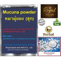 ราคา 100 Pure Mucuna Pruriens Extract with L Dopa Powder Natural Dopamine Brain and Mood Support Brain Improved Parkinsons syndrom หมามุ่ยผง สุก 100 Grams (7053072165)