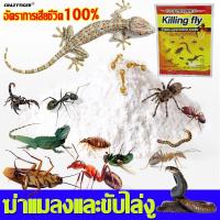 ราคา ฆ่าแมลงไล่งูประสิทธิภาพสูง ยากำจัดจิ้งจก ในการฆ่าแมลงเช่น ตะขาบ แมลงสาบ แมงป่อง แมลงวันตัวเรือด มด ฯลฯ ยาฆ่าจิ้งจก ที่ไล่จิ้งจกถาวร สเปรย์ ตุ๊กแก เครื่อง ยาเบื่อ ไล่ตุ๊ น้ำ กาวดักจิ้งจกกาวดักจิ้งจก คร