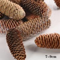 ราคา 5 10ชิ้นลูกสนธรรมชาติคริสต์มาสลูกสนธรรมชาติสำหรับเครื่องประดับต้นคริสมาสต์งานฝีมือของตกแต่งบ้านของขวัญ (20133913763)