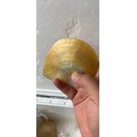 ราคา เปลือกหอยมุกธรรมชาติจานเหลืองหอยขัดเปลือกหอยหอยสังข์งานฝีมือจานเหลืองขัดเงาจานหอยเครื่องประดับตกแต่ง (7247202832)