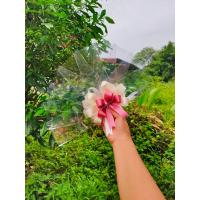 ราคา พัดใส่ธนบัตรรับปริญญา พัดใส่เงิน ขนาด 10 ใบ ใส่ได้ทุกแบงค์ มีโบว์ทั้งด้านหน้าและด้านหลัง (20230967223)