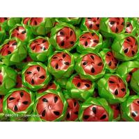 ราคา เหรียญโปรยทาน แตงโม 20 ชิ้น ตัวเปล่า พร้อมส่งแถมฟรี 2 ชิ้นค่ะ (17449577780)