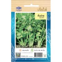 ราคา เมล็ดพันธุ์ คึ่นฉ่าย เจียไต๋ (20670178463)