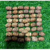 ราคา สมเด็จม้วนกรุเก่าๆ วังหน้า สีเข้มๆ ชุดละ 50องค์ ราคาชุดละ 300บาท แบบนี้มีน้อย ใครสนใจนำไปร้อยสร้อยคอ สร้อยข้อมือ ปะคำ ตะกรุด ของฝาก ของชำร่วย ของแจกงานบุญ งานวัด งานมงคล ของแจก ญาติโยม สั่งซื้อได้ครับ