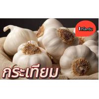 ราคา กระเทียมจีนแต่งเปลือก แบบหัวแพคละ1กิโลกรัม (20615976801)