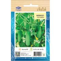 ราคา เมล็ดพันธุ์ แตงกวา เจียไต๋ (20669816923)