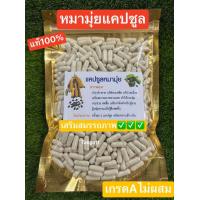 ราคา หมามุ่ยไทยผง ชนิดบรรจุแคปซูล สมุนไพรแท้ บรรจุ 100 และ 500 เม็ด (20764168177)