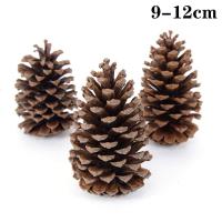 ราคา 5 10ชิ้นลูกสนธรรมชาติคริสต์มาสลูกสนธรรมชาติสำหรับเครื่องประดับต้นคริสมาสต์งานฝีมือของตกแต่งบ้านของขวัญ (20133913773)