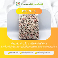 ราคา ปุ๋ยสูตร 15 15 15 สูตร 16 16 16 สูตร 8 24 24 สูตร 29 9 9 แบ่งขาย (19589562699)