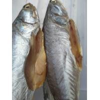 ราคา ปลากุเลาแดดเดียว สะอาด ไม่เค็ม ไซส์ 5 8 ตัวโล (9914423262)