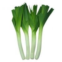 ราคา ต้นหอมญี่ปุ่น สด สะอาด รับประกันคุณภาพ (14997895242)