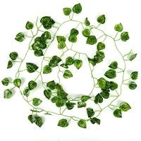 ราคา Hollywood พืชสีเขียวเถาวัลย์พลาสติก เถาวัลย์ใบไม้ปลอม เถาวัลย์ตกแต่ง เถาวัลย์ปลอม ใบไม้ปลอม ใบบีโกเนีย ใบโพธอส ใบแตงโม ใบองุ่น ใบมันเทศ ตกแต่งบ้าน ตกแต่งสวน (20635401374)