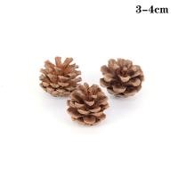 ราคา 5 10ชิ้นลูกสนธรรมชาติคริสต์มาสลูกสนธรรมชาติสำหรับเครื่องประดับต้นคริสมาสต์งานฝีมือของตกแต่งบ้านของขวัญ (20133913767)
