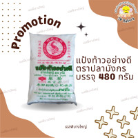 ราคา ล้างสตอค แป้งท้าว อย่างดี ตราปลามังกร บรรจุ 480 กรัม ถุง (20319986890)