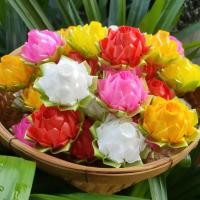 ราคา โปรยทาน ตัวเปล่า ดอกบัวปทุมมา คละสี 1ชุด25ดอก 125บาท (20671620219)