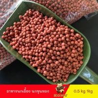ราคา อาหาร นกเอี้ยง นกขุนทอง แบ่งจากกระสอบ 0 5kg 1kg (20070641782)
