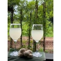 ราคา ลูกแป้งสาโท Sato 10ลูก 100 กระแช่น้ำขาว สูตรแท้ดั้งเดิม สาโท 1ลูก ข้าว2กก ได้น้ำ2ลิตร (20857659761)