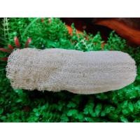 ราคา ใยบวบชนิดบาง ใยบวบใยไม่หนา ใยบวบขัดหน้า ขัดผิว ใยบวบธรรมชาติ ใยบวบ 3 ขนาด (9875952779)