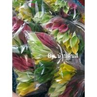 ราคา ชุดใบไม้มงคลประดิษฐ์จากดินไทย สำหรับจัดพานขันหมากหรือพานมงคล (16638088891)