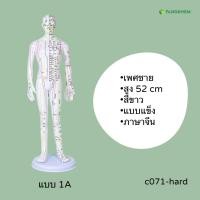 ราคา หุ่นจำลองจุดฝังเข็ม ขนาด 52 54 62cm หุ่นจำลองฝังเข็มได้ งานละเอียดพิเศษ Acupuncture Model By Fangkhem (20813476384)