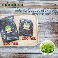 ราคา เมล็ดผักบุ้งจีน อัตราการงอก 99 เหมาะกับการปลูกเพื่อทานต้นอ่อน ต้นอ่อนผักบุ้ง พันธุ์ใบไผ่ ผักบุ้งจีน (677048356)
