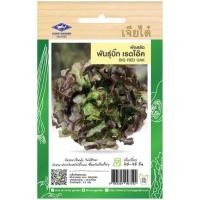 ราคา เมล็ดพันธุ์ ผักสลัดบิ๊ก เรดโอ๊ค ตราเจียไต๋ (20670283067)