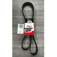 ราคา สายพานหน้าเครื่อง Mazda3 ford focus 6PK1305 gates (20245192580)