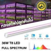 ราคา GrowSmart ชุดหลอดไฟ LED T8 grow light 36W full spectrum 120cm ไฟปลูกต้นไม้ ไฟเพาะต้นอ่อน clone LED light LED Grow Tube for Indoor Plant (16937232370)