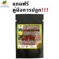 ราคา เมล็ดพันธุ์ ชุด ดอกกุหลาบ ขายดีที่สุด ดอกดก พวงใหญ่ ใบดกสวย พร้อมส่ง กุหลาบเลื้อยสีแดง สีชมพู สีขาว สีเหลือง กุหลาบ ปลูกง่าย (8904730602)