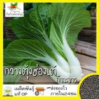 ราคา เมล็ดพันธุ์ กวางตุ้งฮ่องเต้ ก้านขาว 500 เมล็ด Canton Pak Choi Seed เมล็ดพันธุ์แท้100 นำเข้าจากต่างประเทศ กวางตุ้ง ถูกดี (7467671053)