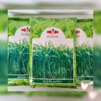 ราคา ผักบุ้งจีน ตราศรแดง ขนาด 1 กิโลกรัม (18065731846)