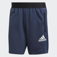ราคา adidas เทรนนิง กางเกงขาสั้น adidas Designed To Move Motion AEROREADY ผู้ชาย สีน้ำเงิน GM3244 (13675983298)