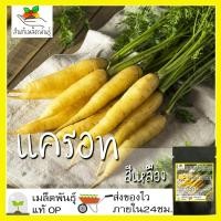 ราคา เมล็ดพันธุ์ ชุดแครอท ปลูกง่าย โตไว พร้อมส่ง แครอทจิ๋ว แครอทบอล แครอทคละสี แครอทสีส้มแดนเวอร์ แครอทสีดำ ผักสวนครัว (10204350467)