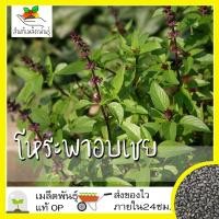 ราคา เมล็ดพันธุ์ ชุดโหระพา ขายดี ปลูกง่าย ใบดก โตไว โหระพาอิตาลีใบใหญ่ โหระพาอบเชย โหระพาเรดรูบิน ดาร์กโอปอลโหระพา (10202326015)