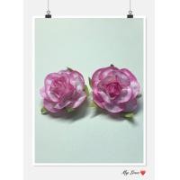 ราคา ต่างหูดอกไม้ ต่างหูทองกวาว ต่างหูหนีบ (18793161737)