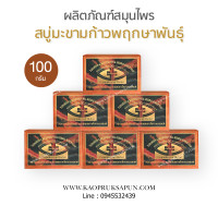 ราคา สบู่มะขามก้าวพฤกษาพันธุ์ 6 ก้อน (20251173645)