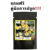 ราคา เมล็ดพันธุ์ ชุด ดอกกุหลาบ ขายดีที่สุด ดอกดก พวงใหญ่ ใบดกสวย พร้อมส่ง กุหลาบเลื้อยสีแดง สีชมพู สีขาว สีเหลือง กุหลาบ ปลูกง่าย (8904730605)