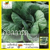 ราคา เมล็ดพันธุ์ คอลลาร์ด เวทส์ ปูเล่ฝรั่ง 300 เมล็ด Vates Collard seed เมล็ดพันธุ์แท้ นำเข้าจากต่างประเทศ ปลูกผัก สวนครัว (8543910465)