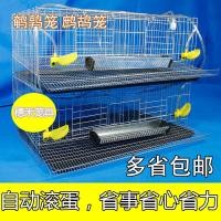 ราคา กรงนกกระทาใช้ในบ้านกรงนกกระทาวางไข่อัตโนมัติกรงนกกระทากรงนกกระทาเพื่อทำความสะอาดและสะดวก (16933332000)