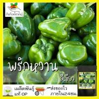 ราคา เมล็ดพันธุ์ พริกหวาน สีเขียว 50 เมล็ด Green Sweet Pepper seeds เมล็ดพันธุ์แท้ นำเข้าจากต่างประเทศ ปลูกผัก สวนครัว (8383817045)