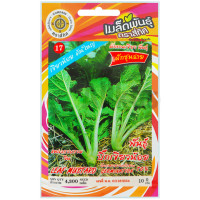 ราคา เมล็ดพันธุ์ ผักกาดเขียว ผักชุนฉ่าย พันธุ์บิ๊กเขียวน้อย ตราสี่ทิศ (20710713307)