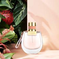 ราคา จัดส่งรวดเร็วน้ำหอมแบรนด์แท้ Chloe Nomade EDP for women 75 MLน้ำหอมดีไซเนอร์แท้ น้ำหอมผู้หญิง (18987618807)