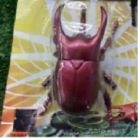 ราคา แมงคามไขลาน มดไขลาน แมงมุมไขลาน ด้วงไขลาน แมงคามไขลาน ตุ๊กตาไขลาน สัตว์ไขลาน ของเล่นไขลาน ของเล่นโบราณ (12548560680)