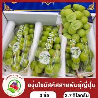 ราคา องุ่นไซมัสคัส Shine muscat เนื้อเยลลี่ นุ่มละมุนลิ้น รสหวานหอม 3 ช่อ ส่งฟรี (19223719768)