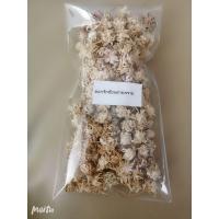 ราคา ดอกรักซ้อนตายพรายแท้ 100 (7111004442)
