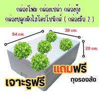 ราคา กล่องโฟม กล่องเปล่า กล่องกุ้ง กล่องปลูกผักไฮโดรโปนิกส์ ขนาด 38x54x20 cm เจาะรูฟรี แถมถุงดำรองลังให้ด้วย กล่องมือ 2 (19870151248)