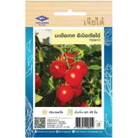 ราคา เมล็ดพันธุ์ มะเขือเทศ อีเป๋อ ตราเจียไต๋ (20680875531)